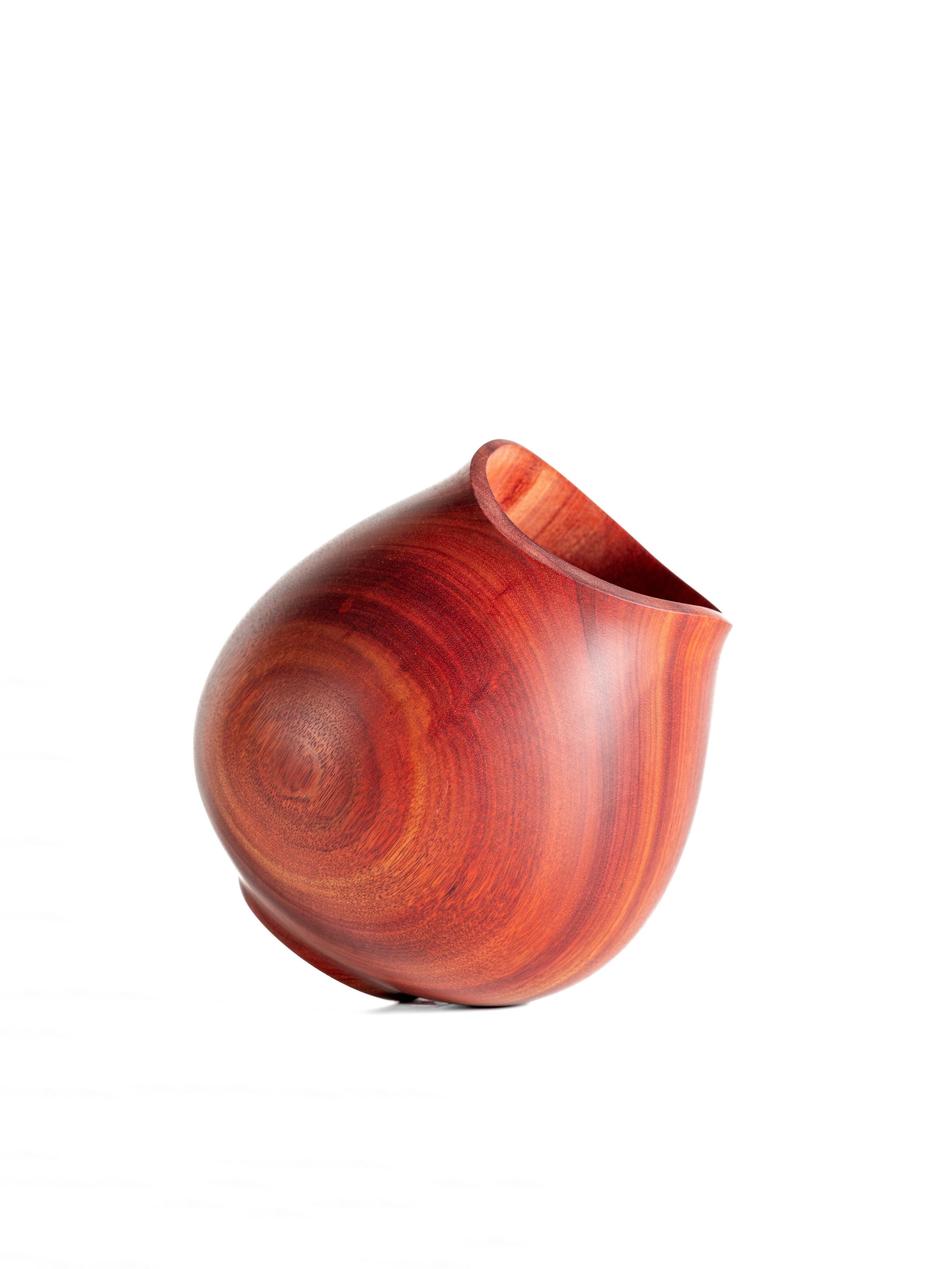 Tulipa Vase - Muirapiranga