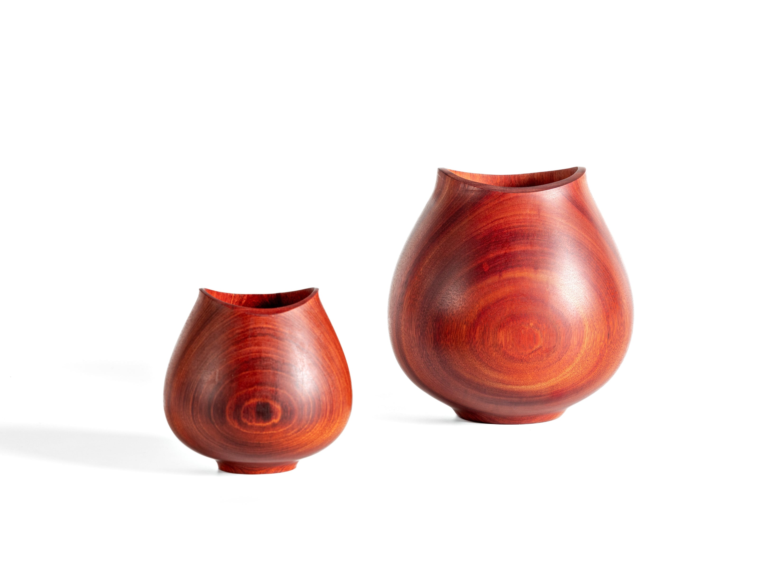 Tulipa Vase - Muirapiranga