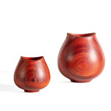 Tulipa Vase - Muirapiranga