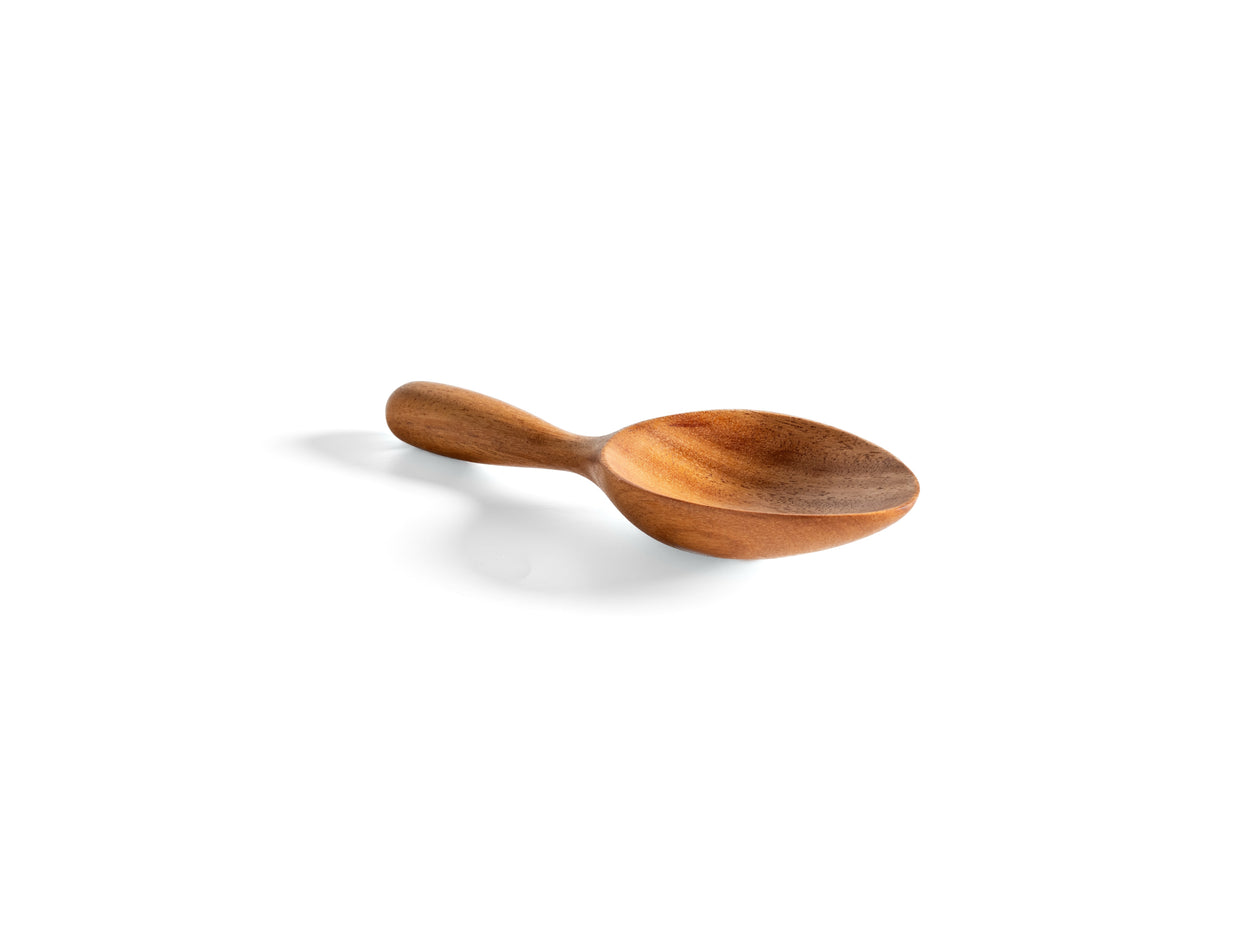 Selva Scoop - Piquiá