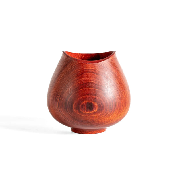 Vaso Tulipa - Muirapiranga