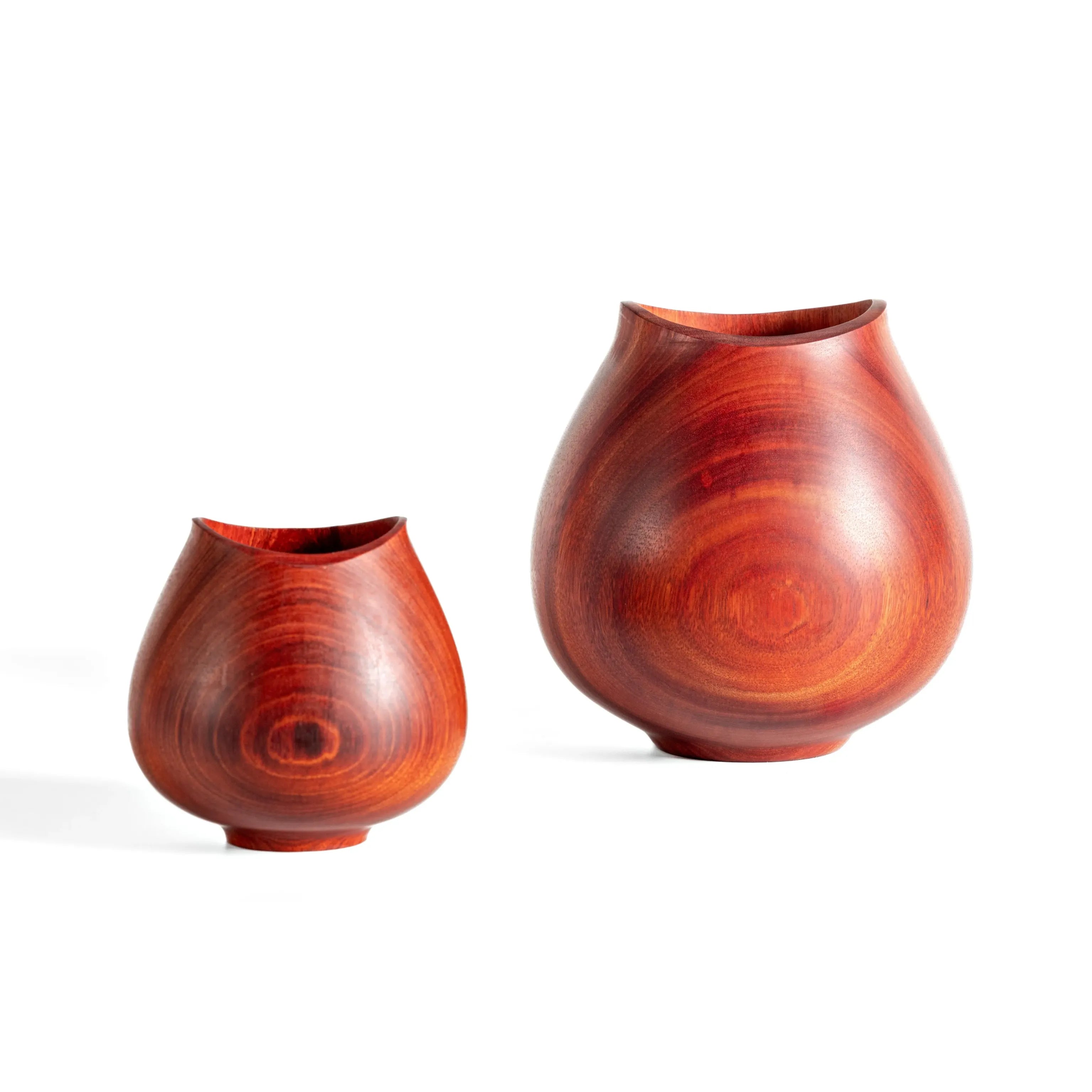 Vaso Tulipa - Muirapiranga