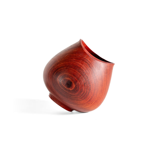 Tulipa Vase - Muirapiranga